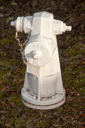Clow Wet
                      Barrel Fire Hydrant