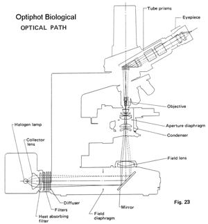 Nikon Optiphot Biological Microscope
                          Optical Path