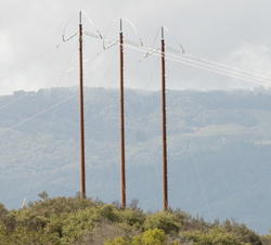 New PG&E Metal transmission poles
                              replaced old wooden poles.