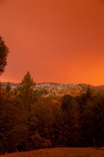 8 Nov 2018
                  Paradise Fire