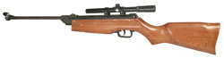 Daisy Model 120
                    BB Gun