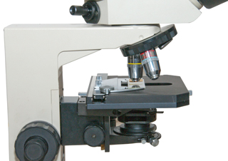 Nikon Labophot
                  Microscope