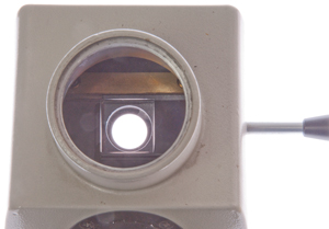 Nikon type-T
                    microscope trinocular eyepiece tube (head)