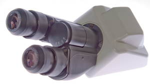 Nikon
                    CFI 10x/20 Eyepiece in Eclipse Infinity Binocular
                    Head