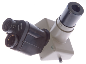 Nikon
                    Ultra Wide Microscope head