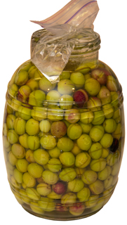 Olives being cured in 4 quart jar of water