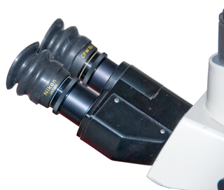 New
                    1-1/4" Telescope eye cups on Nikon CFW10x
                    microscope eyepieces