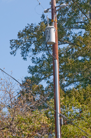 Brooke's
                      Guide to Utility Poles