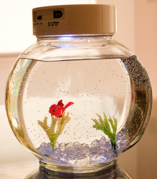 Electronic Goldfish in a Bowl