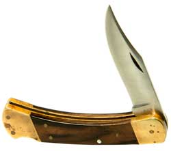 Buck 10 Folding Hunting Knife 2 Dot