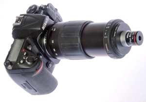 D300s, 80-210mm Lens, E Plan 4x/0.10 ∞ / -
                    objective