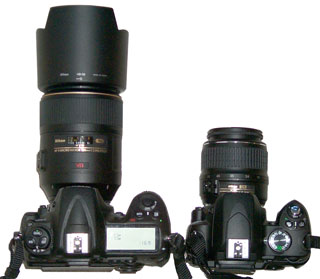 Nikon D300s
                  w/105mm lens vs. D60 w/18-55mm lens