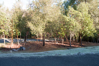 Wildland Fire
                      Defensible Space