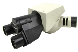 Nikon microscope Combined binocular head and
            vertical illuminator
