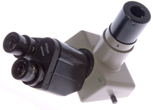 Nikon
                    Ultra Wide Microscope head