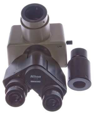 Nikon
                    Ultra Wide Microscope head