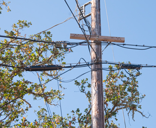 Brooke's Guide to Utility Poles