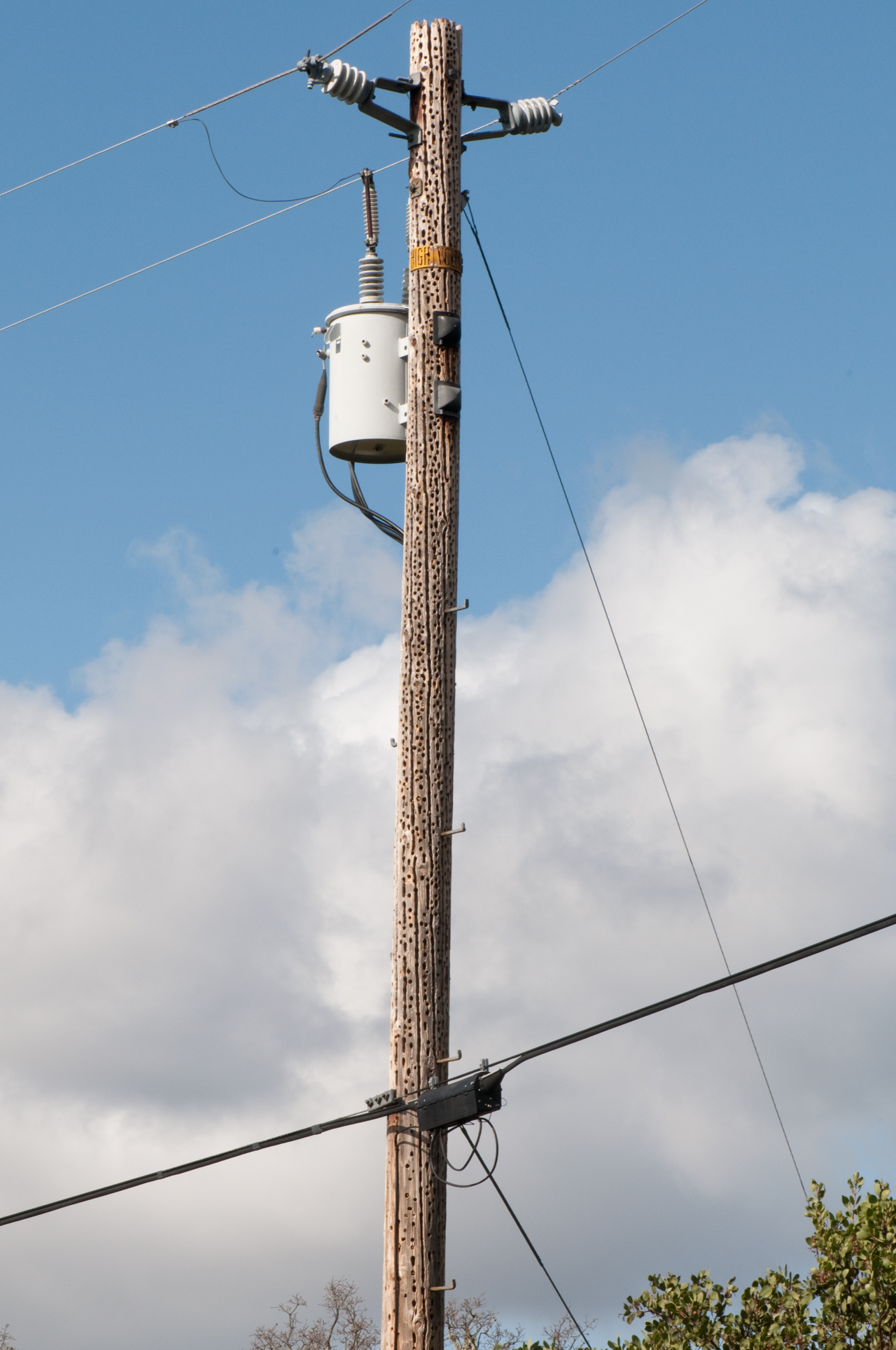 Telephone Power & CATV Poles