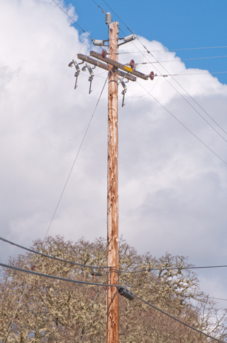 Brooke's Guide to Utility Poles