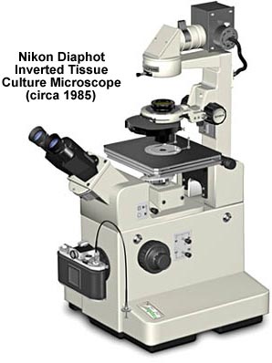 Nikon Diaphot Inverted Microscope